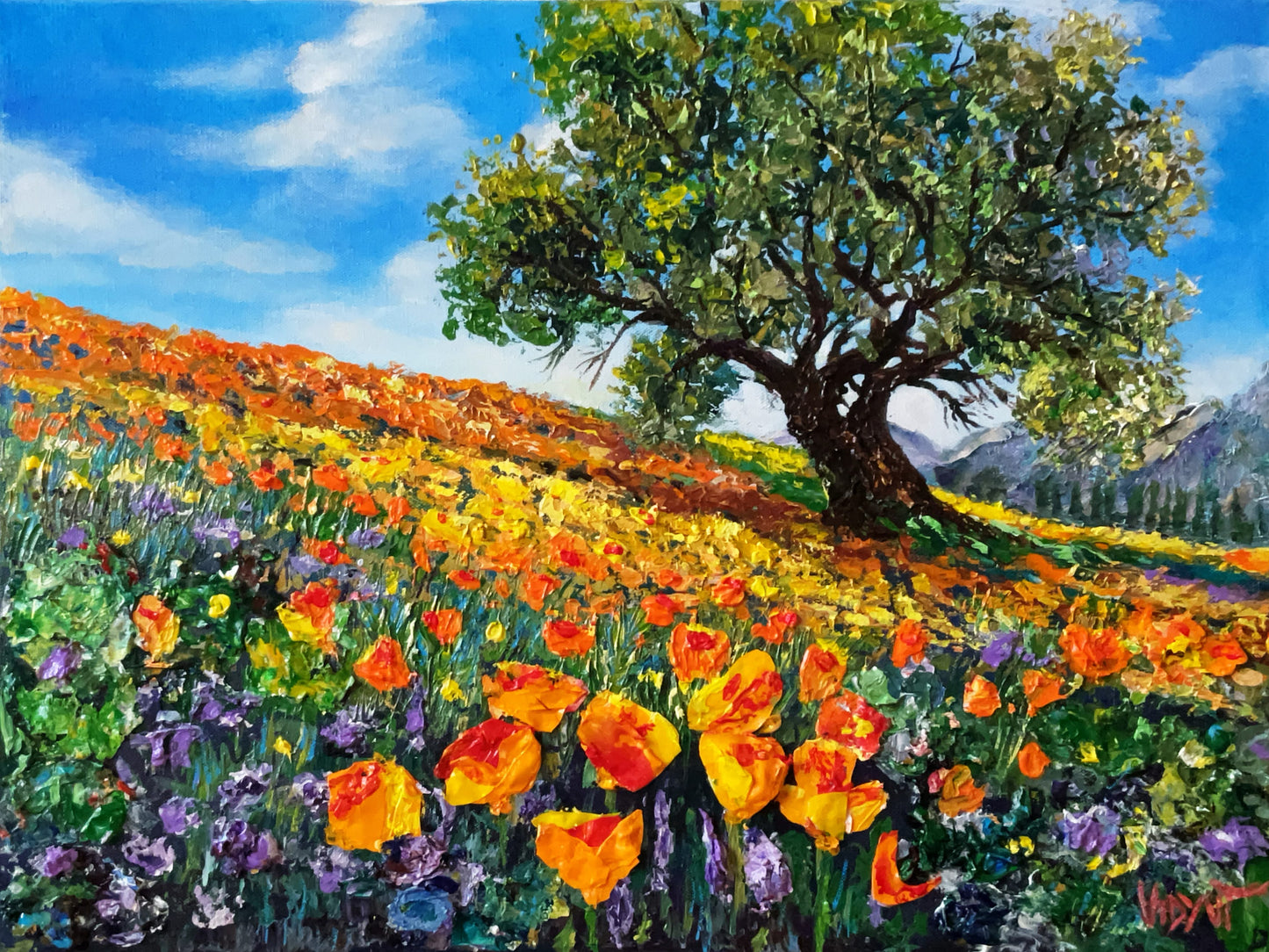 California Poppies