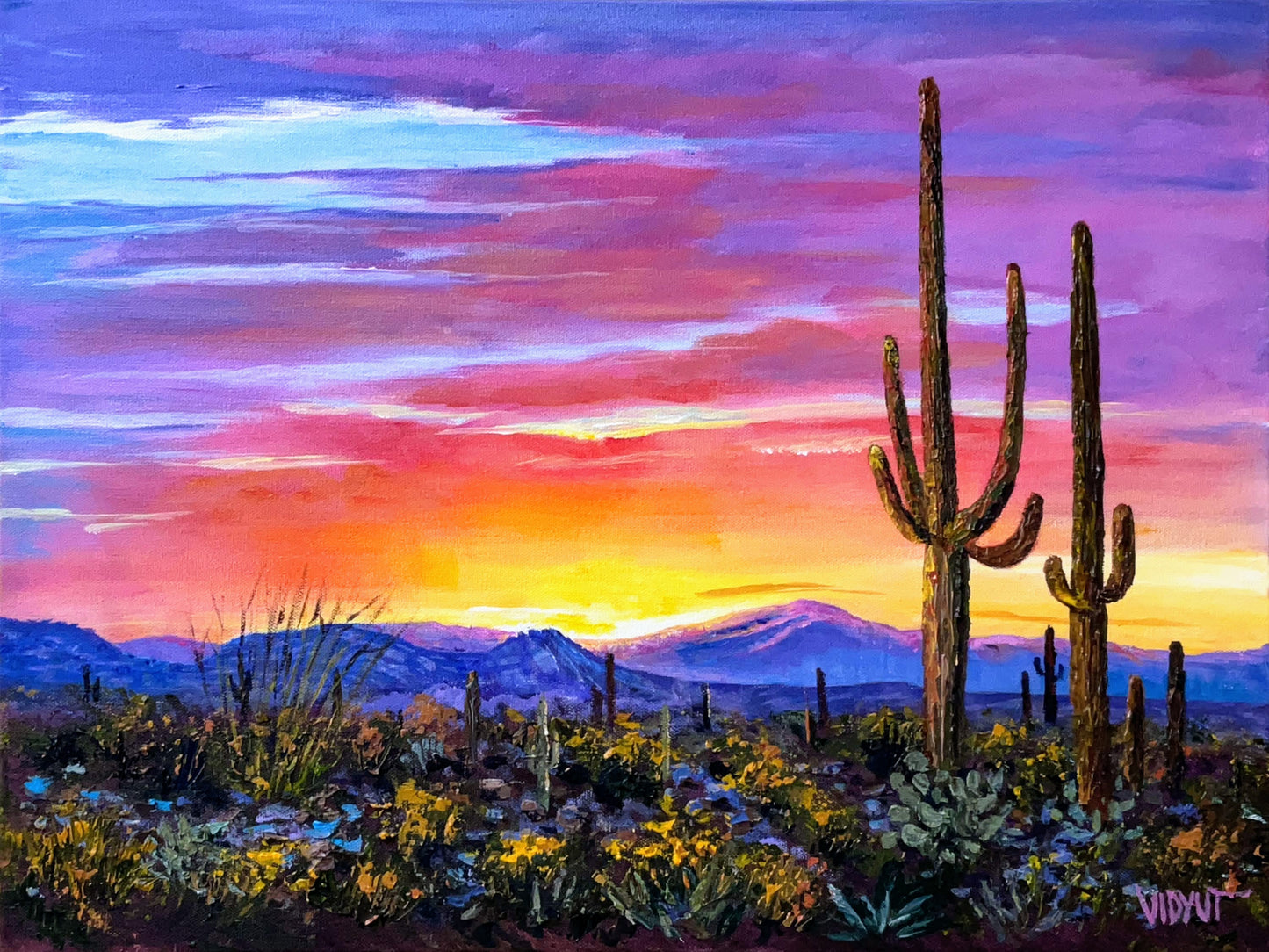 Dawn at the saguaro Land