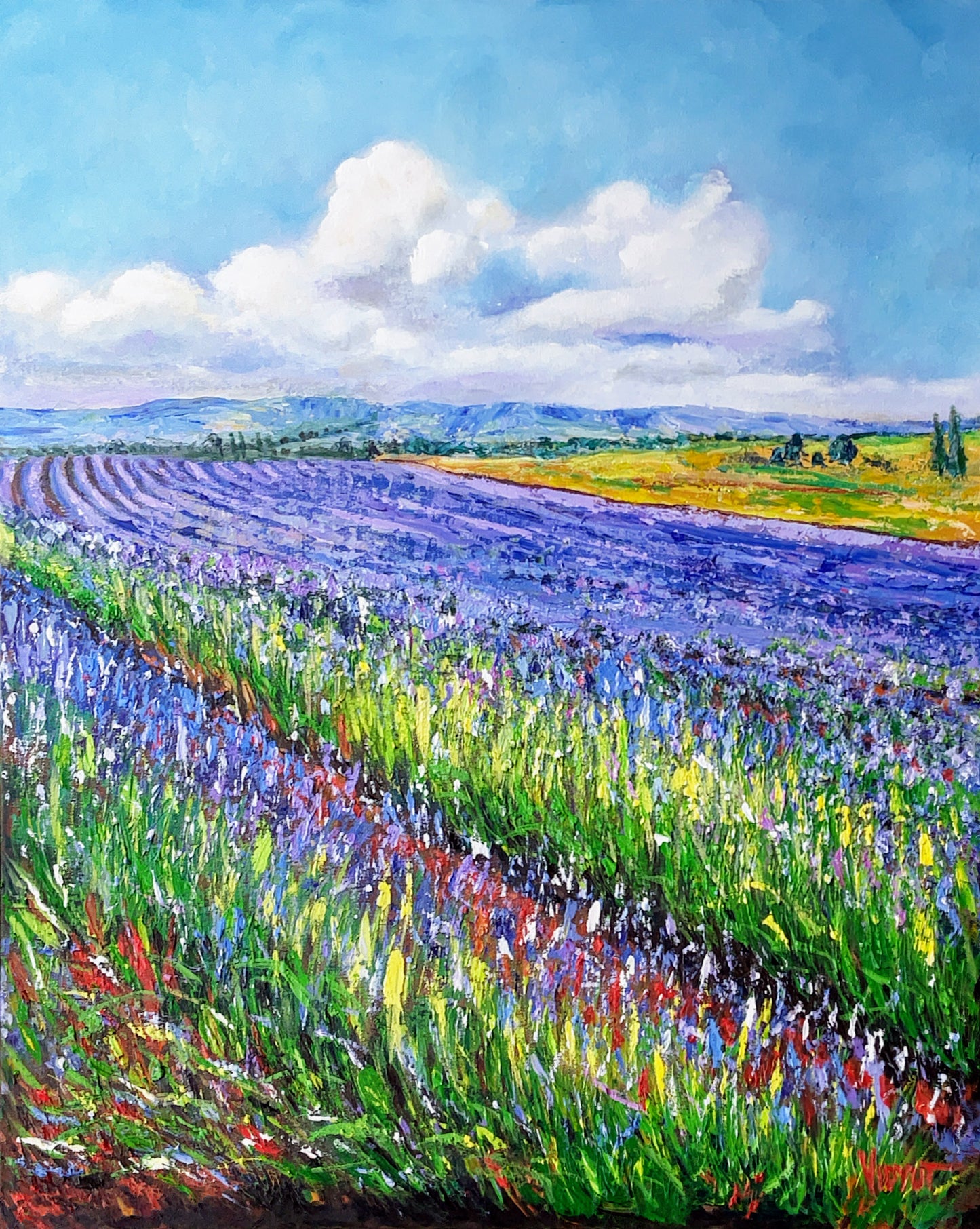 Clouds Over the Lavender Fields