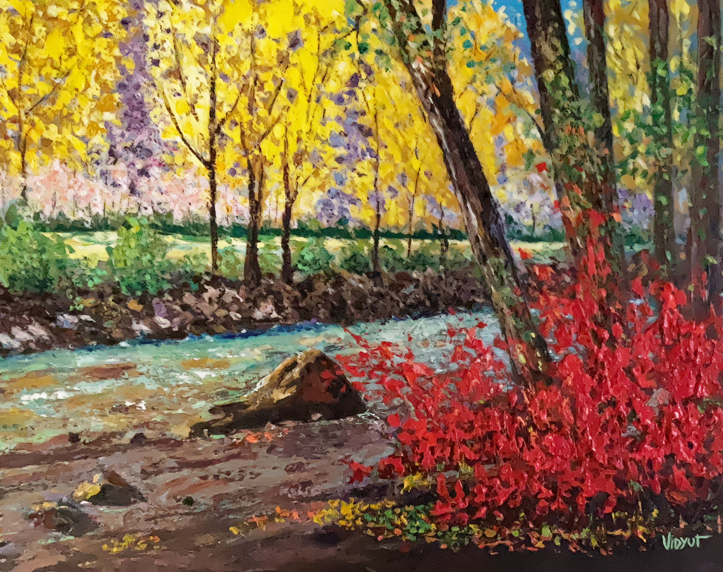 Creek Tranquility