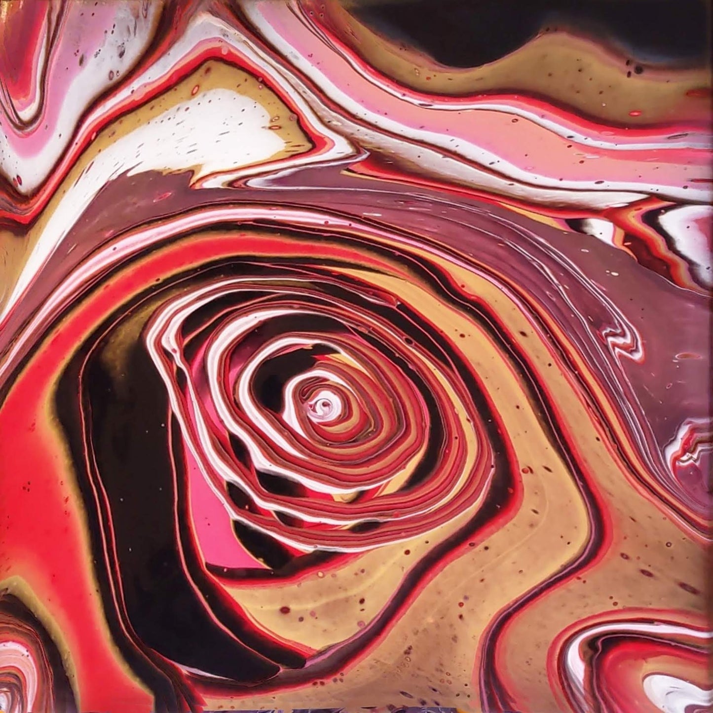 Desert Rose