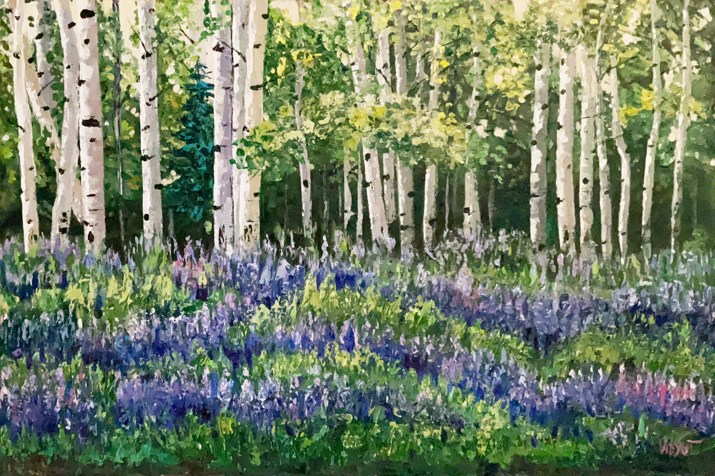 Lupins in Aspen Grove