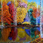 Reflection of Life