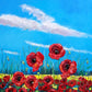 Poppies in Bloom