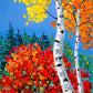 Aspen and Red Maple