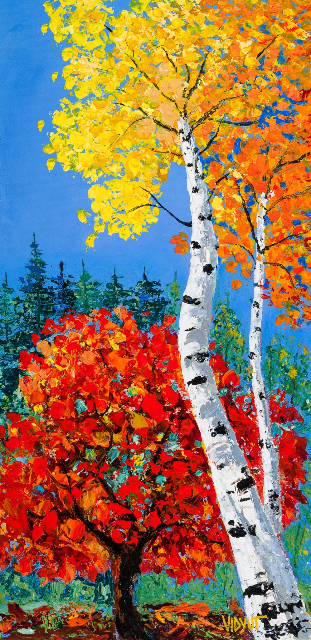 Aspen and Red Maple