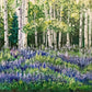 Lupins in Aspen Grove