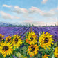Provence Sunshine